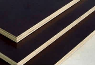 Huş Plywood